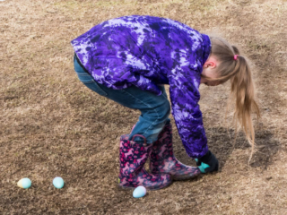 how many eggs can you pick up?