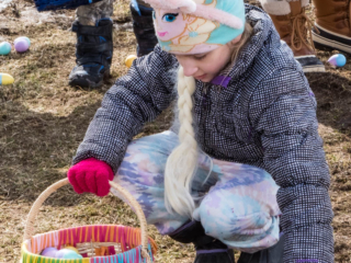 Collecting eggs