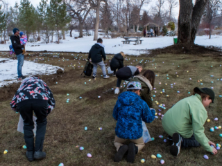 More Easter egg hunt
