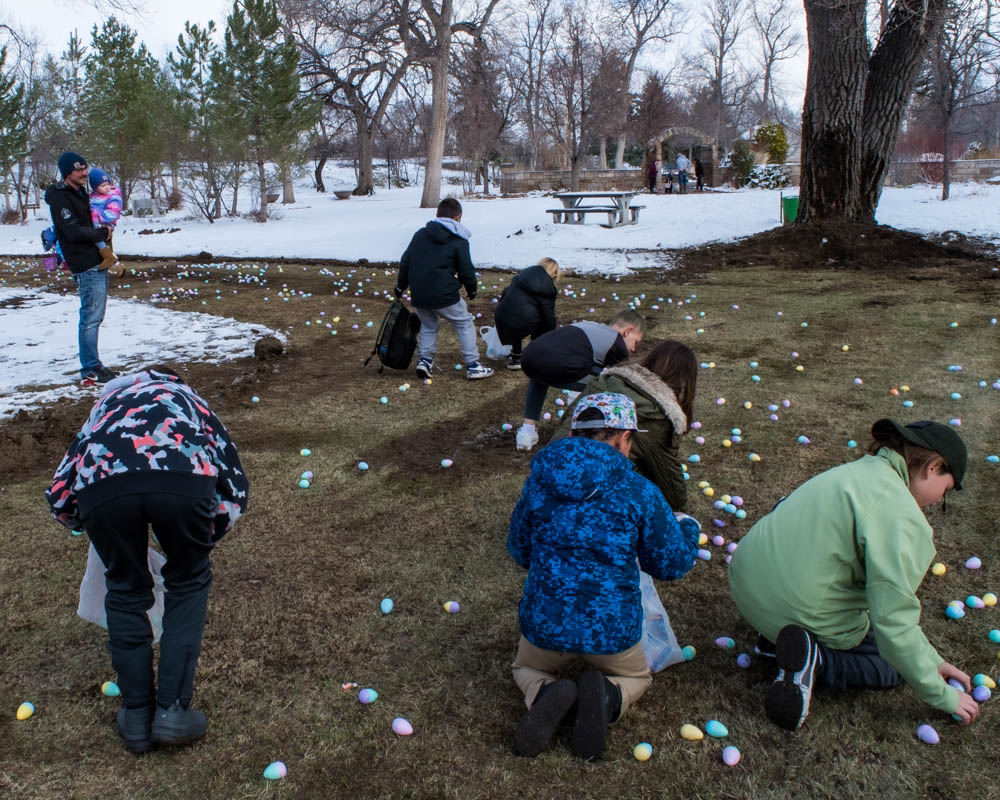 More Easter egg hunt