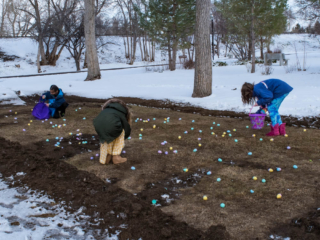 Easter egg hunt