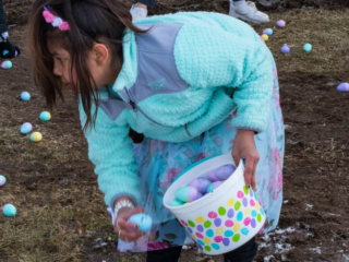 grabbing eggs