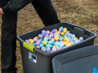 Egg tote