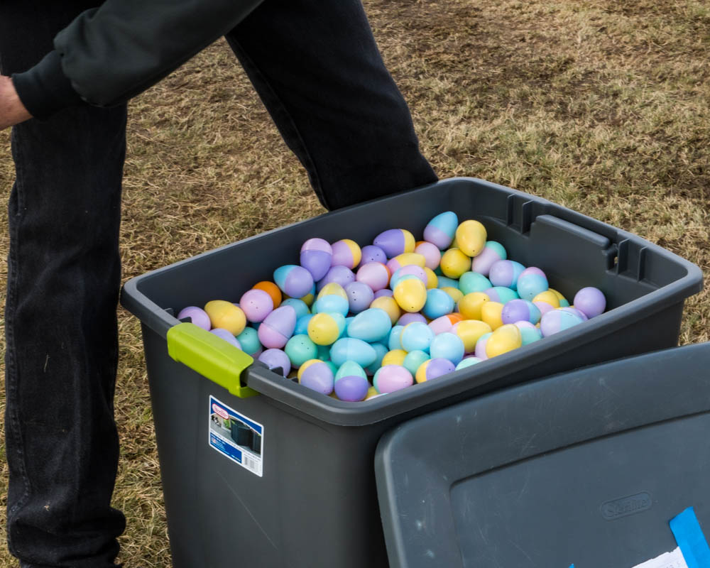 Egg tote