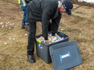 distributing eggs
