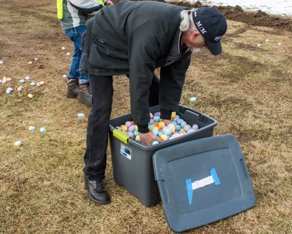 distributing eggs