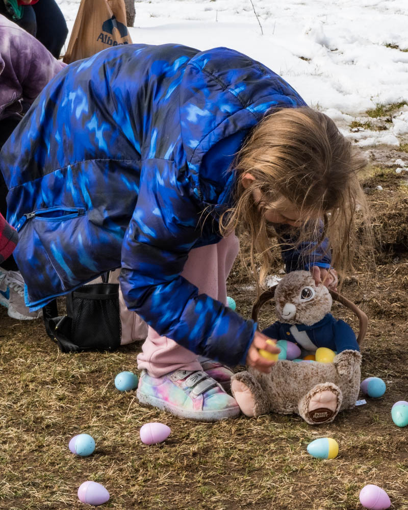 Easter bunny basket