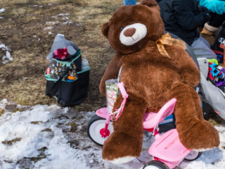 bear riding tricycle