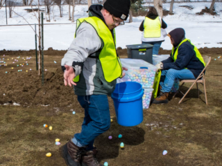 spreading eggs