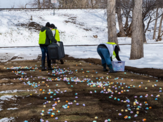 Spreading eggs