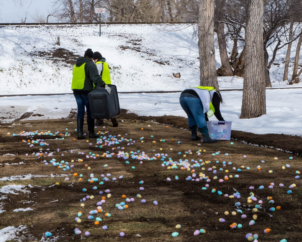 Spreading eggs