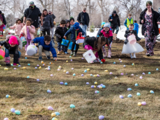 More eggs!