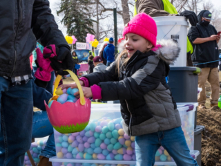 putting all the eggs in the basket