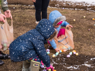 collecting eggs